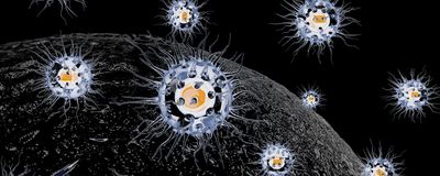 Improve CAR T cell sorting to enhance safety and clinical outcomes