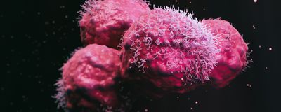 A Spotlight on Cancer Cell Metabolism
