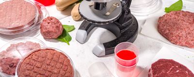Learn About the Latest Lab Meat Bioprocessing Technology
