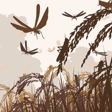 Vector image of swarming locusts in a field