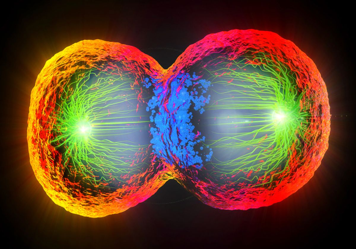 A multicolored illustration of a cell undergoing division.
