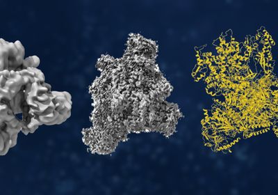 &nbsp;Dive into Cryo-EM&rsquo;s History, Milestones, and Insights.