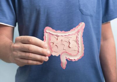 Man in blue shirt holding a paper representation of the intestines
