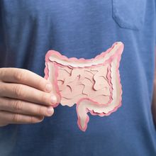 Man in blue shirt holding a paper representation of the intestines