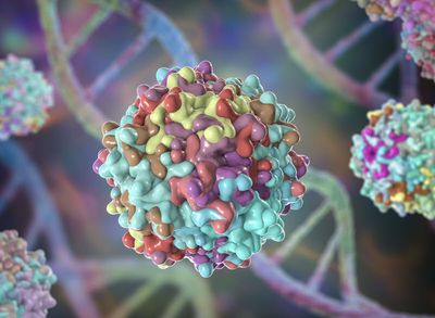 Introduction to AAV Gene Therapies
