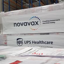 A shipping pallet of vaccines with Novavax's logo on it