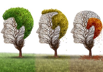 Conceptual image of hair loss showing trees in the shape of a human head at various seasonal stages of shedding their leaves.