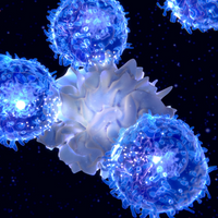dendritic cell t cell immunology cancer immunotherapy in situ vaccine