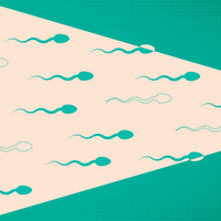 sperm epigenetics cancer risk heritability histones